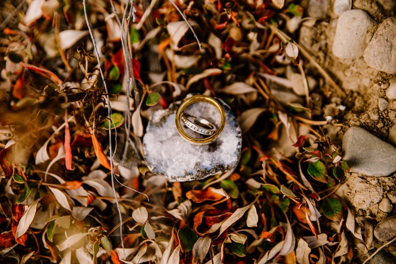Wedding Photography, two wedding rings sit in a patch of snow amongst dry leaves